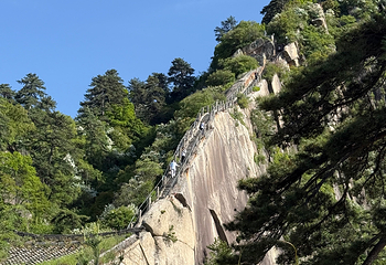 华山第 229 张图片