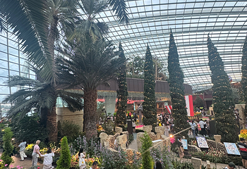 新加坡滨海湾花园第 200 张图片