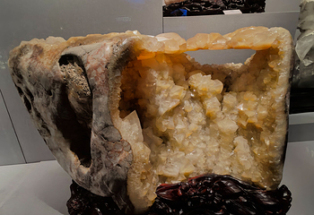 成都自然博物馆第 63 张图片