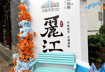 丽江古城第 51 张图片