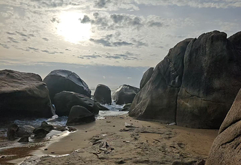 天涯海角第 340 张图片