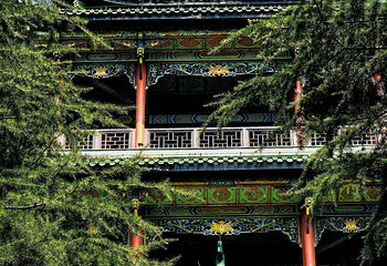 鸿恩寺公园第 71 张图片