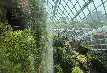 新加坡滨海湾花园第 536 张图片