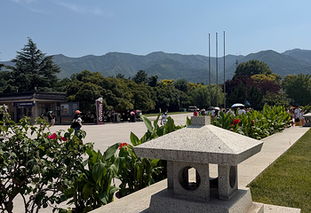 秦始皇帝陵博物院(兵马俑)第 291 张图片