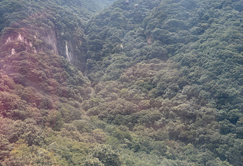 嵩山少林景区第 203 张图片