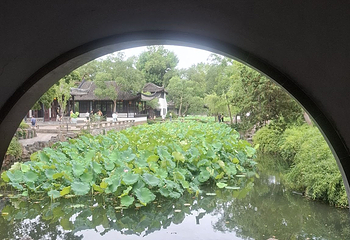 拙政园第 392 张图片