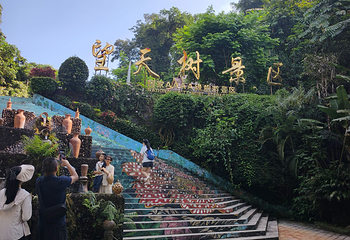 西双版纳热带雨林国家公园望天树景区第 120 张图片