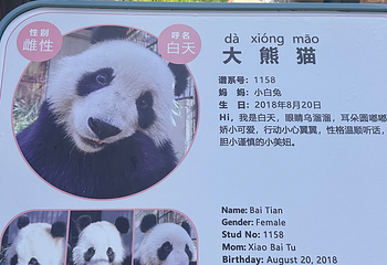 北京动物园第 131 张图片