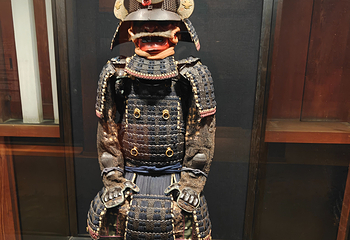 小田原城第 20 张图片