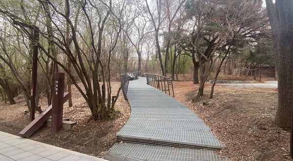 长春水文化生态园-森林栈道