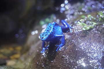 塞维利亚水族馆第 4 张图片
