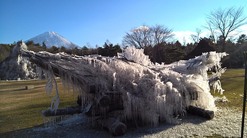 西湖野鸟之森公园