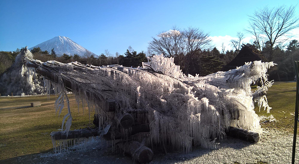 西湖野鸟之森公园