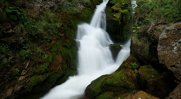 Borjomi-Kharagauli National Park