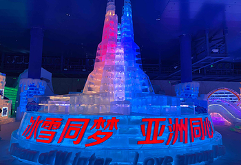 哈尔滨冰雪大世界第 222 张图片