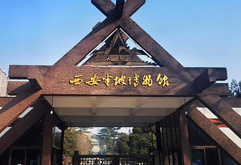 西安半坡博物馆第 18 张图片