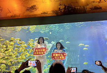 北海海底世界第 21 张图片