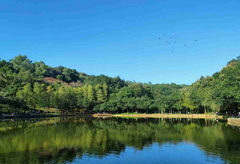 莲花山公园第 15 张图片