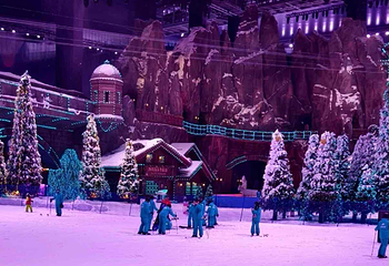 阿尔卑斯雪世界第 351 张图片