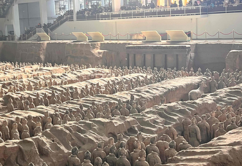 秦始皇帝陵博物院(兵马俑)第 513 张图片