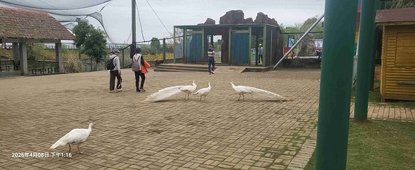 鄱阳湖国家湿地公园第 47 张图片