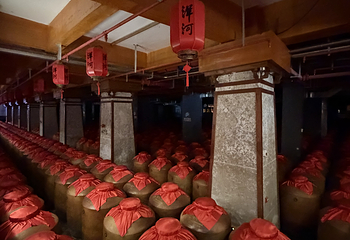 洋河酒厂文化旅游区第 53 张图片