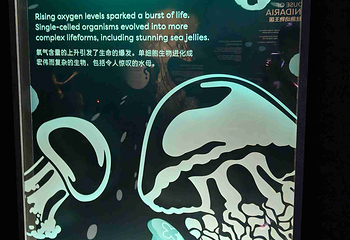 新加坡海洋生态馆第 133 张图片