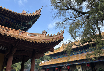 普陀山风景区第 92 张图片