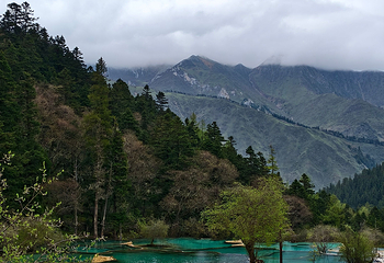 黄龙风景名胜区第 175 张图片