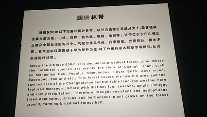 长白山自然博物馆第 35 张图片