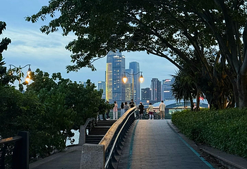 深圳湾公园第 39 张图片