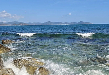 小东海第 62 张图片