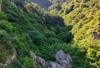 禹王洞第 15 张图片