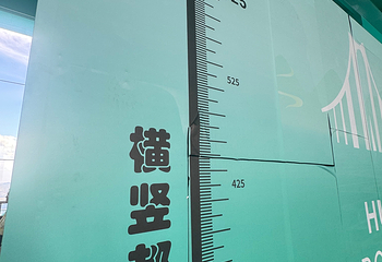 花江峡谷大桥桥旅融合服务区第 62 张图片