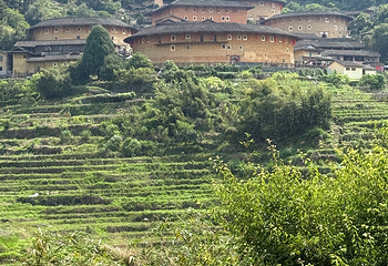 田螺坑土楼群第 57 张图片