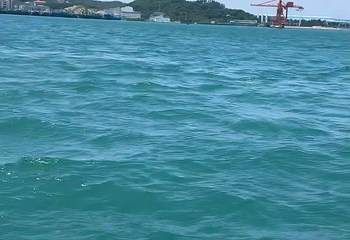 东山岛第 249 张图片
