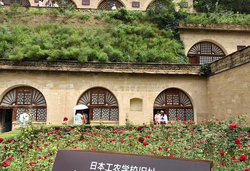 宝塔山第 69 张图片