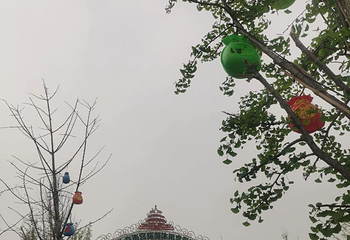 南宫旅游休闲度假区第 122 张图片