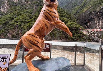 虎跳峡(香格里拉段)第 75 张图片