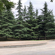 西安市环城公园玉祥门景区-北区