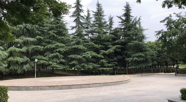 西安市环城公园玉祥门景区-北区