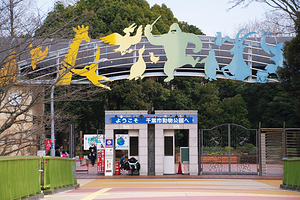 千叶市动物公园