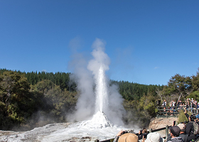 Lady Knox Geyser