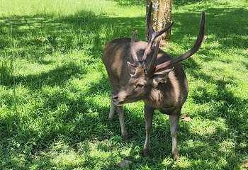 Khao Yai National Park Checkpoint - Pak Chong第 17 张图片