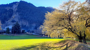 Queenstown Recreational Reserve