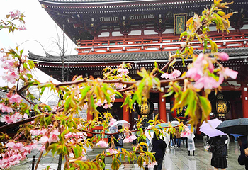 浅草寺第 42 张图片