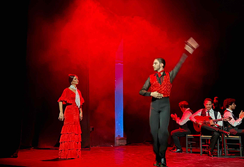 塞维利亚Teatro Flamenco Sevilla弗拉明戈剧院第 26 张图片