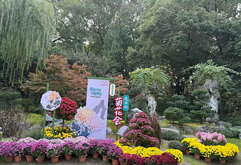 瘦西湖第 187 张图片