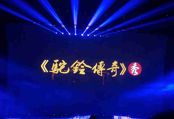《驼铃传奇》秀第 100 张图片
