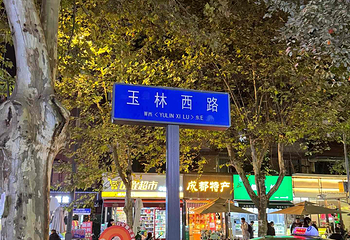 玉林西路第 64 张图片